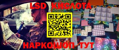 индика Ставрополь