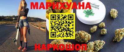 индика Ставрополь
