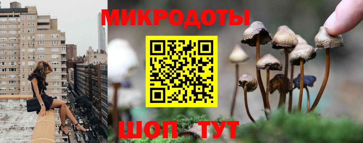 Псилоцибиновые грибы прущие грибы  наркота  Аргун  Вход с VPN 
